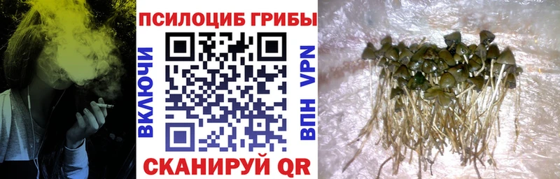 это наркотические препараты  Апатиты  hydra   Псилоцибиновые грибы Psilocybe  купить  