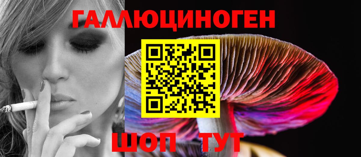 Псилоцибиновые грибы Magic Shrooms  Вход с VPN  Псилоцибиновые грибы GOLDEN TEACHER  Апатиты 