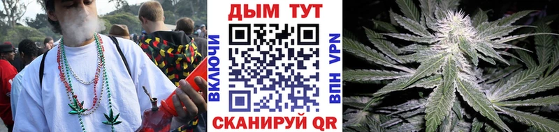 Бошки Шишки конопля Апатиты